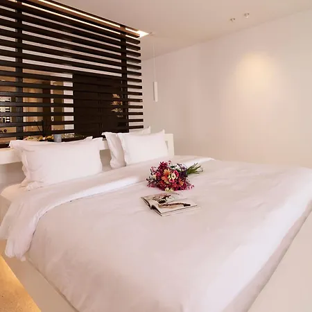 Hotel Mykonos Rocks & Plintri