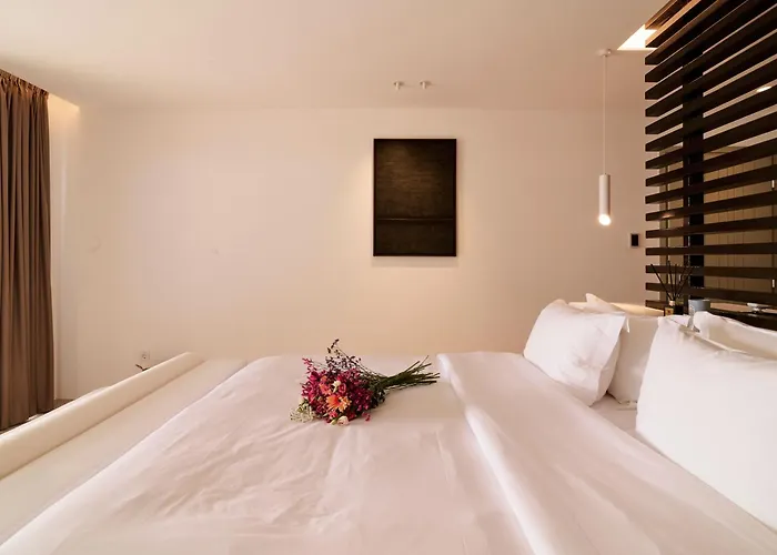 Mykonos Rocks Villas&suites Hotel Plintri