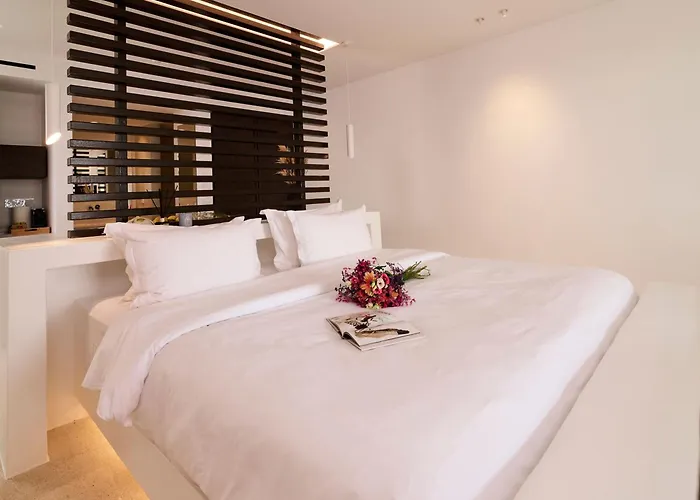 Hotel Mykonos Rocks Villas&suites Plintri