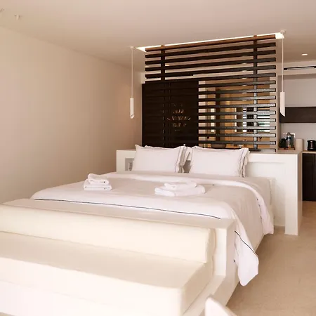 Mykonos Rocks Villas&suites * Plintri